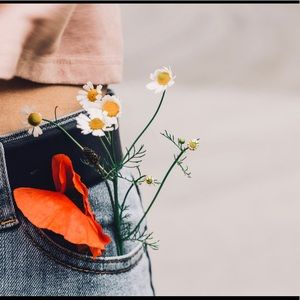 Meet your Posher, Picky pocket